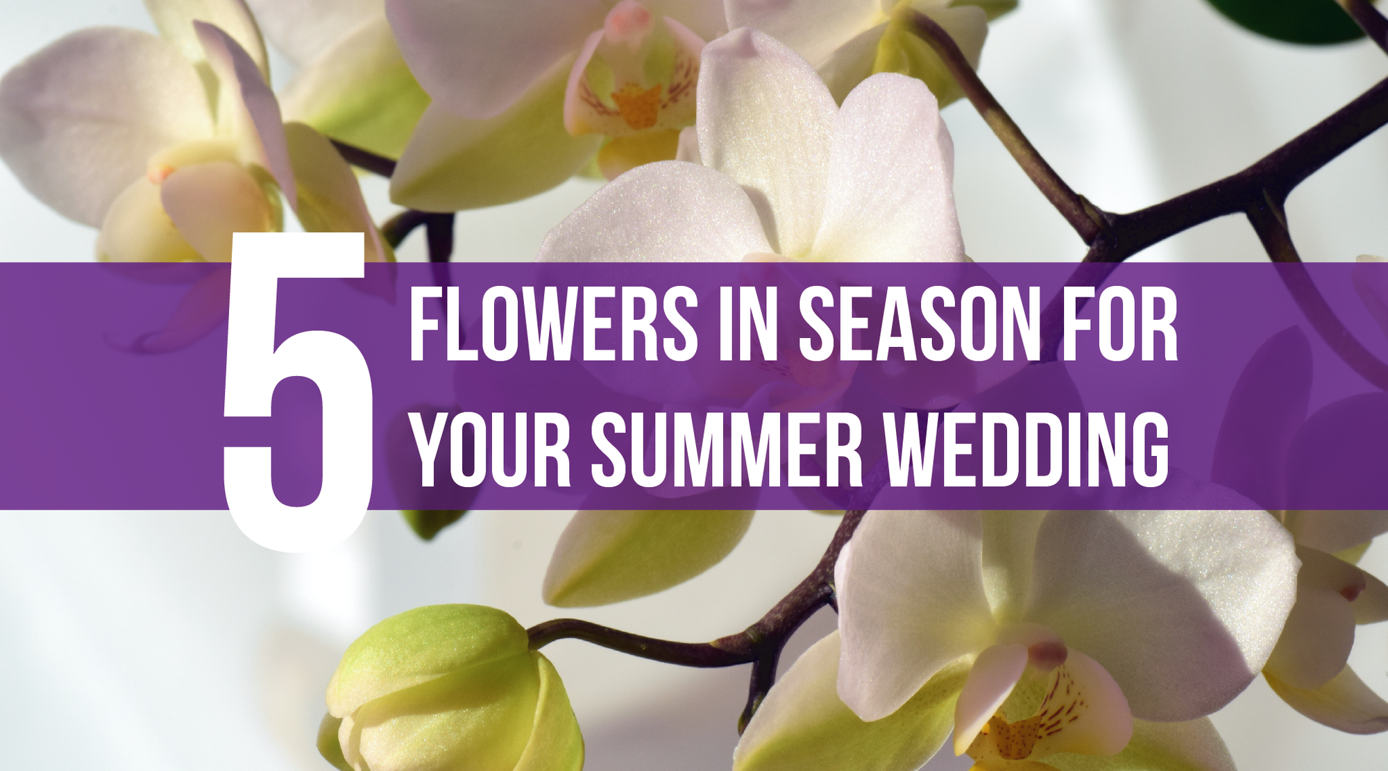 5 Flowers in Season for Your Summer Wedding