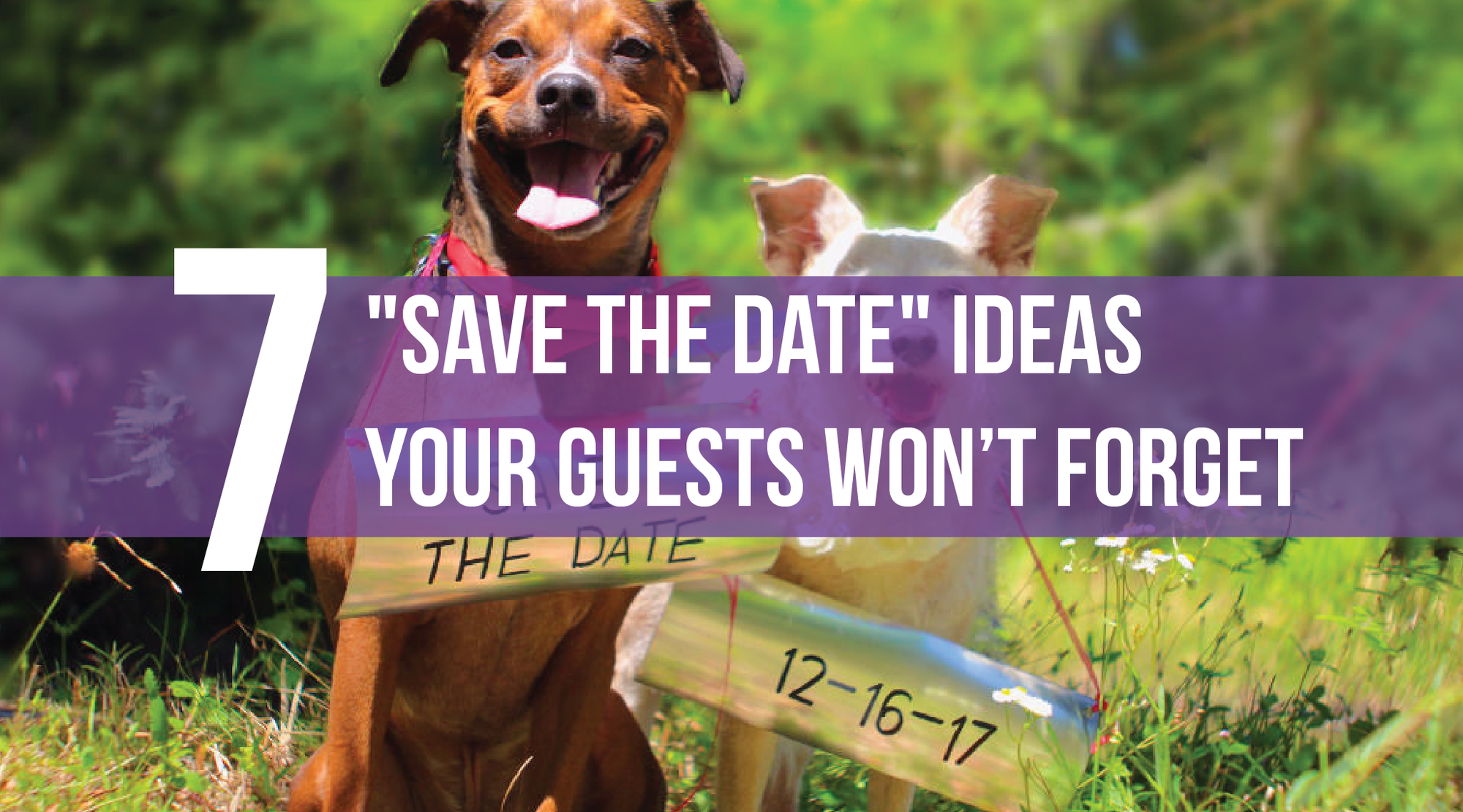 7 "Save The Date" Ideas Your Guests Won’t Forget