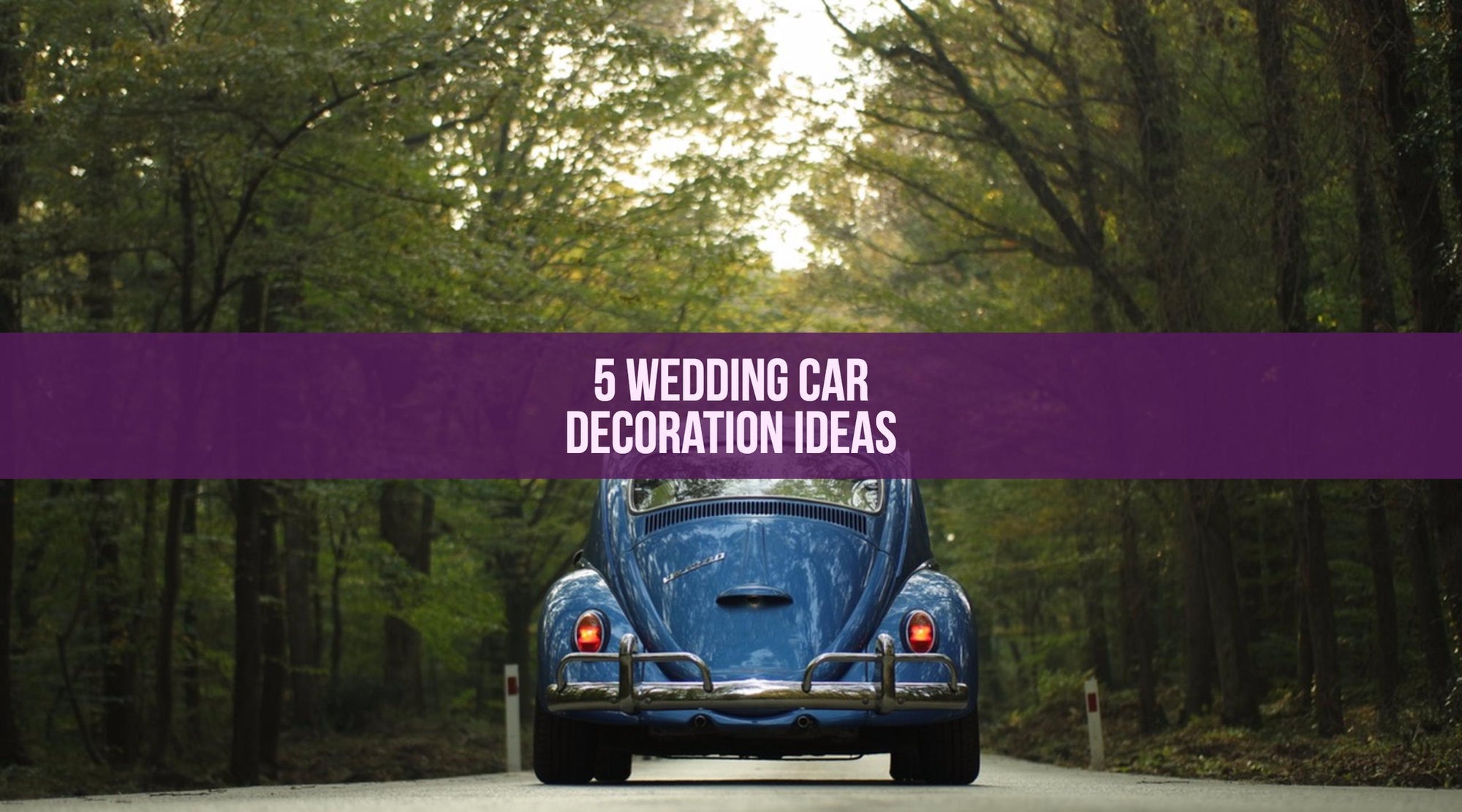 5 Wedding Car Decoration Ideas