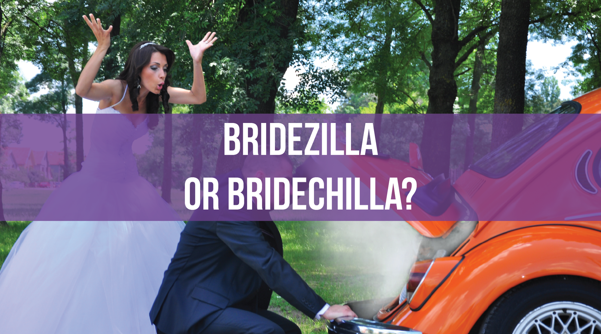 Bridezilla or Bridechilla?