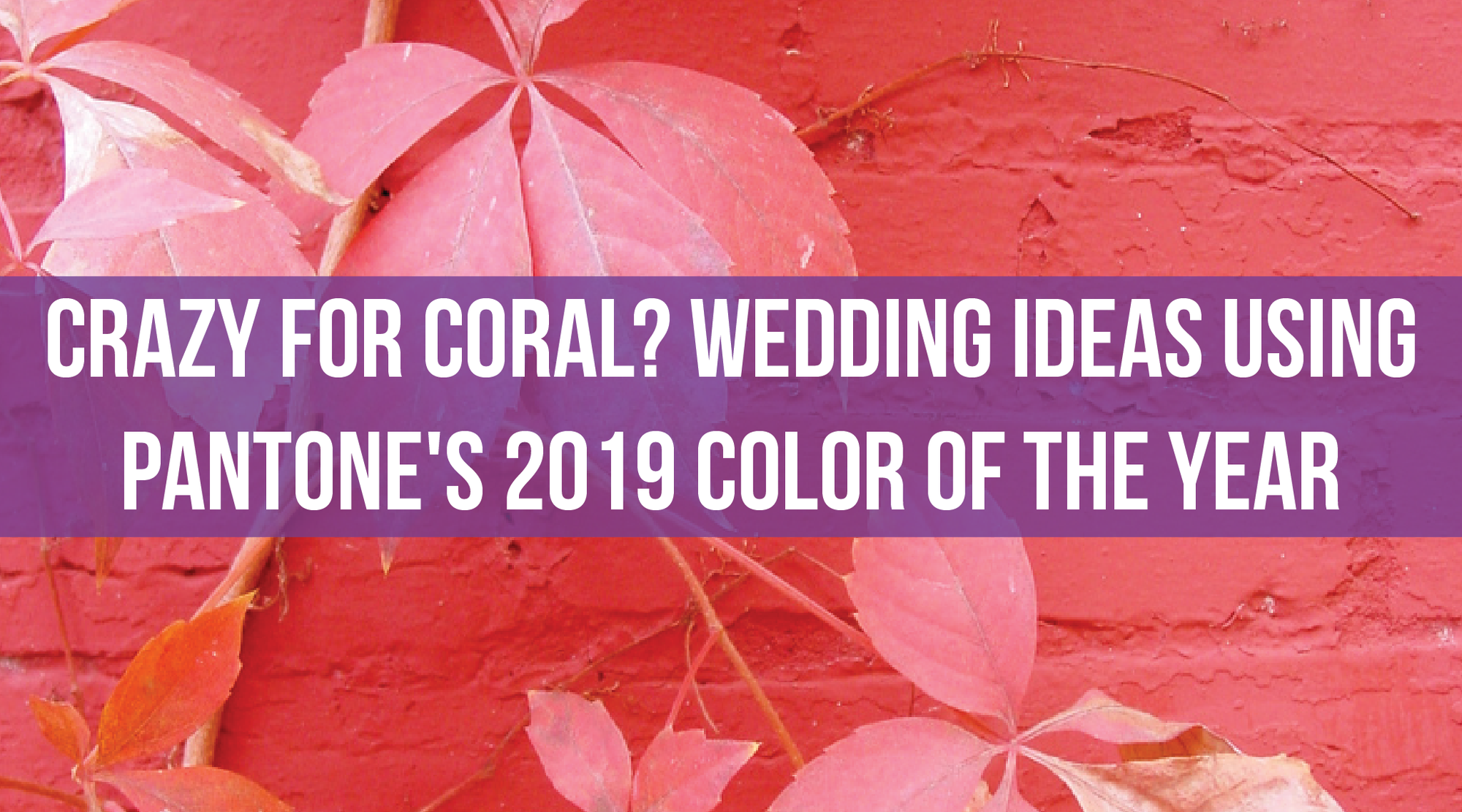 Crazy for Coral? Wedding Ideas Using Pantone's 2019 Color of the Year