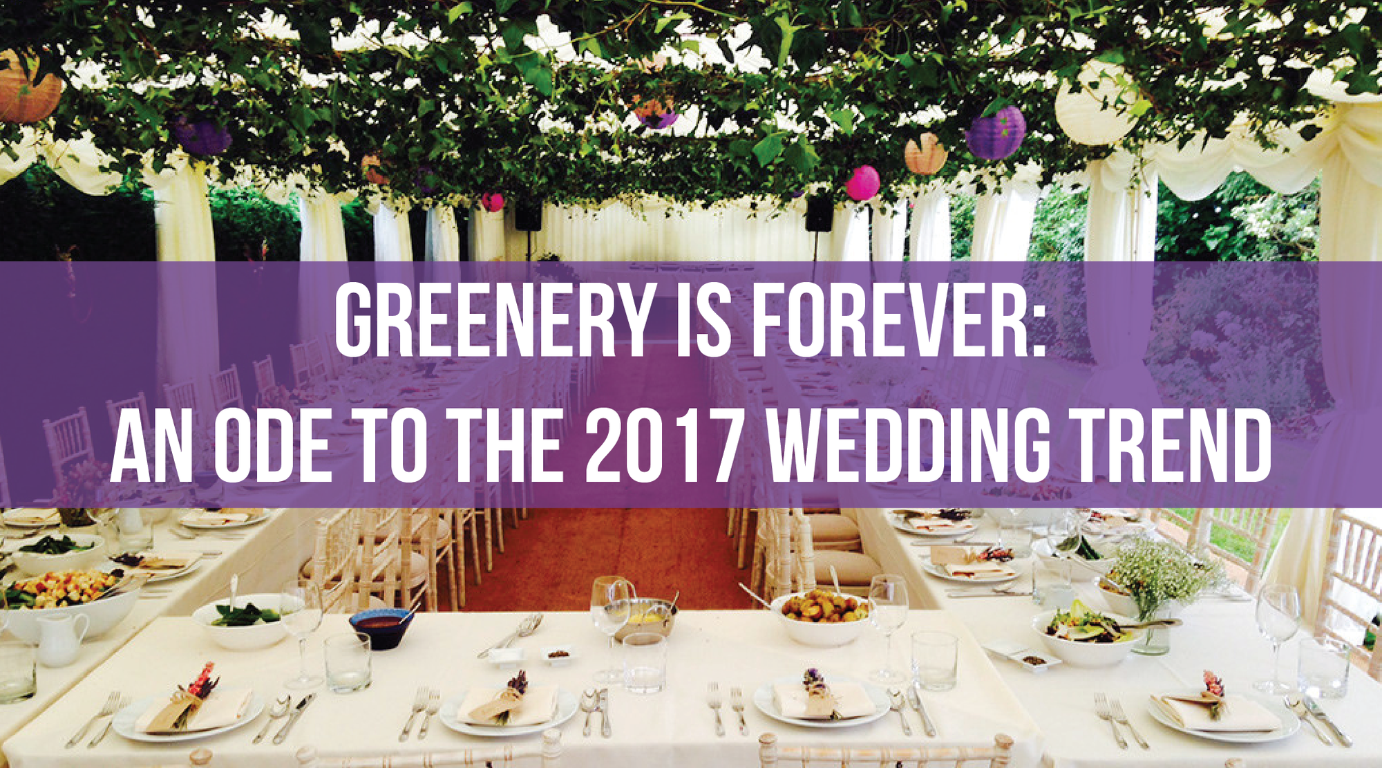 Greenery is Forever: An Ode to the 2017 Wedding Trend