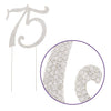 75 Cake Topper - Silver